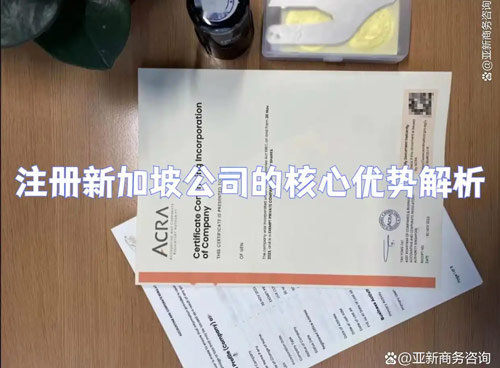 注册新加坡公司